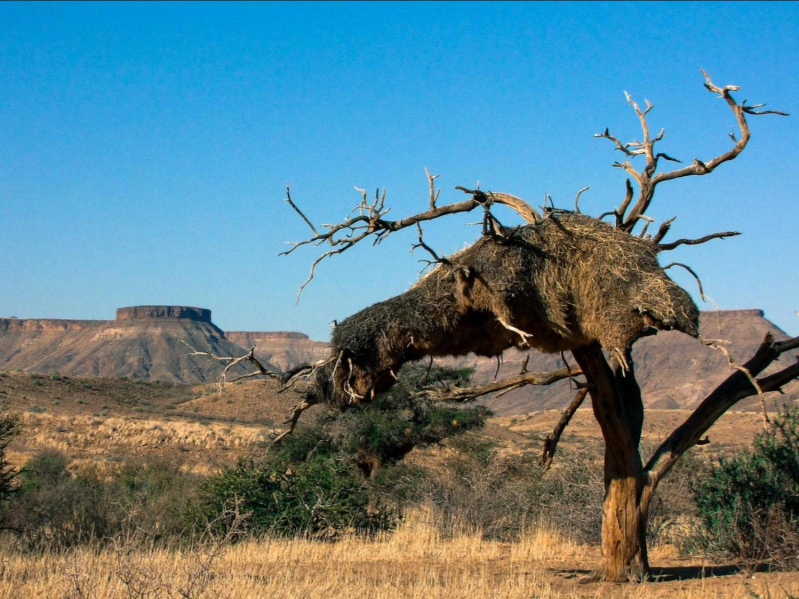 Mount Canyon Guest Farm เคทมานสโฮป ภายนอก รูปภาพ