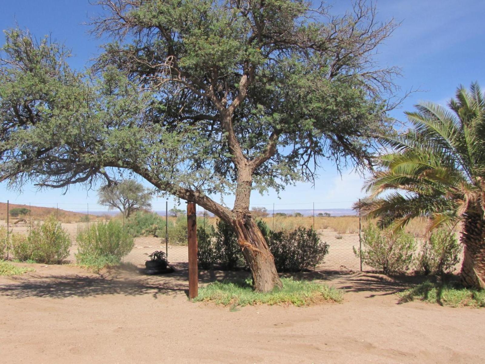 Mount Canyon Guest Farm เคทมานสโฮป ห้อง รูปภาพ