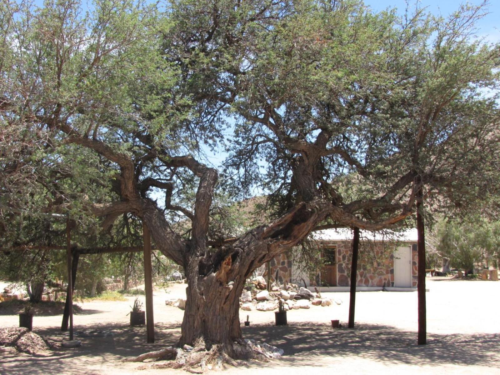 Mount Canyon Guest Farm เคทมานสโฮป ภายนอก รูปภาพ